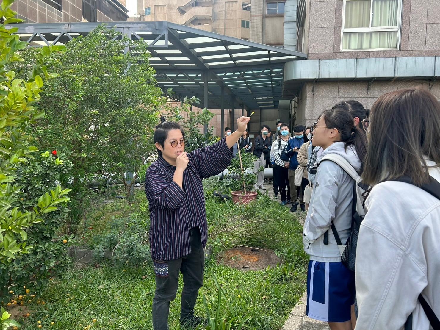 雜草稍慢
