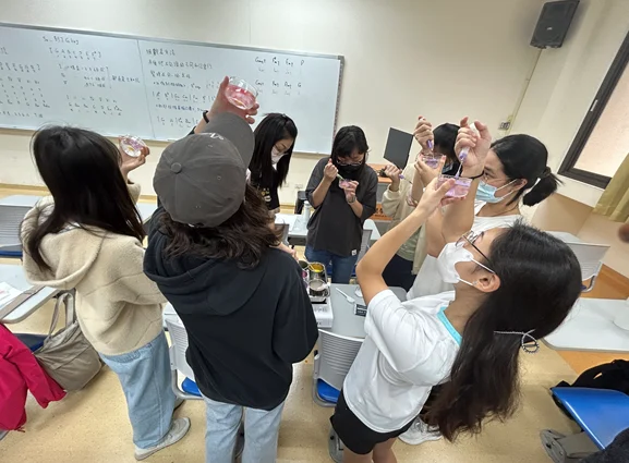 螢幕擷取畫面 2025 12 16 134754